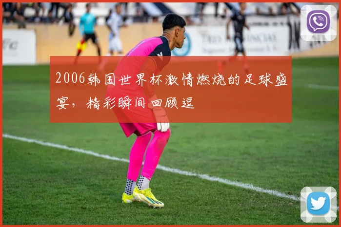 2006韩国世界杯激情燃烧的足球盛宴，精彩瞬间回顾逗