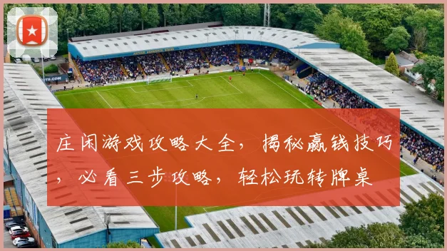 庄闲游戏攻略大全，揭秘赢钱技巧，必看三步攻略，轻松玩转牌桌