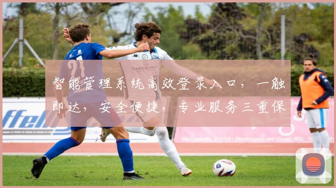 智能管理系统高效登录入口，一触即达，安全便捷，专业服务三重保障，体验非凡