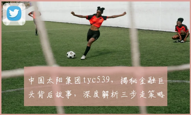 中国太阳集团tyc539，揭秘金融巨头背后故事，深度解析三步走策略